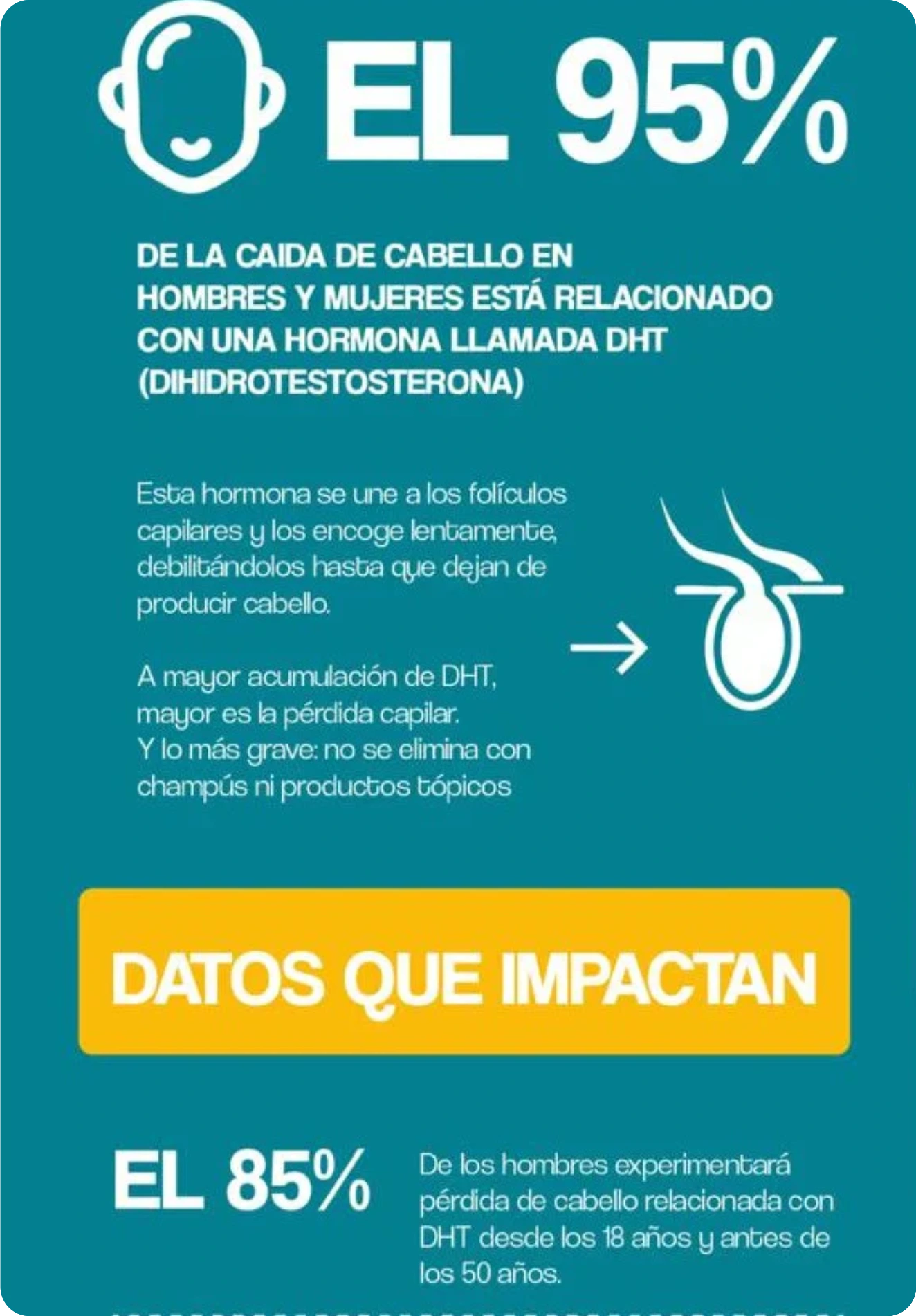 BLOQUEADOR DE DHT ® | RECUPERA TU CABELLO EN 3 SEMANAS